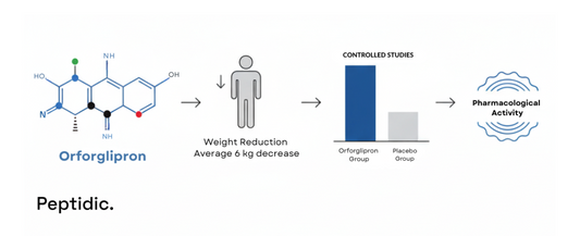 Orforglipron research graphic showing weight reduction, study comparisons, and pharmacological activity results.