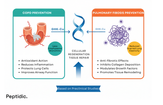 Diagram showing how GHK-Cu peptide aids pulmonary repair by reducing fibrosis, inflammation, and stress.