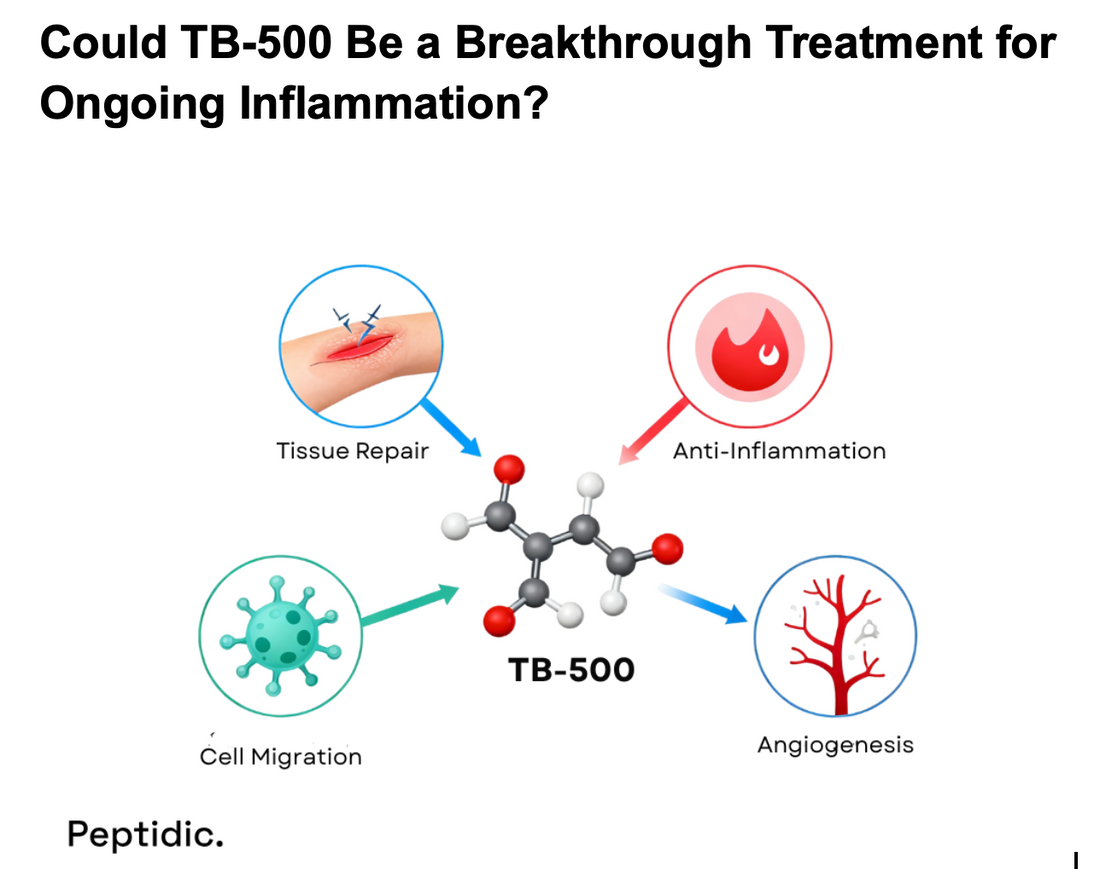 Illustration showing TB-500 peptide promoting tissue repair, anti-inflammation, cell migration, and angiogenesis benefits.  The