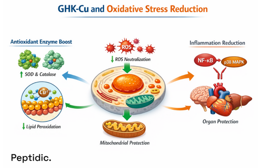How Does Clinical Evidence Define the Role of GHK-Cu in Oxidative Stress Control?