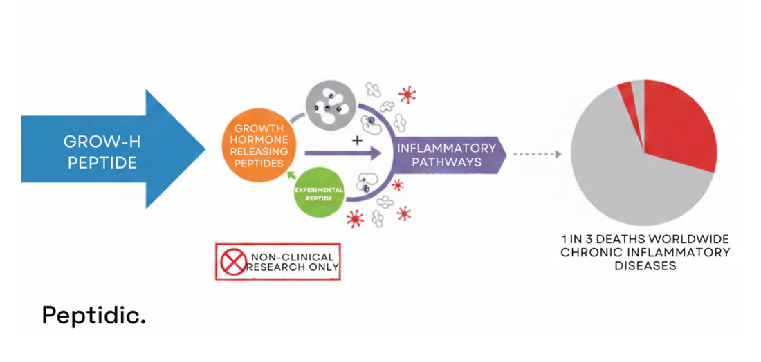 Grow-H peptide interaction with inflammatory pathways; non-clinical research link to chronic disease statistics.