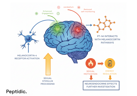 Diagram shows PT-141 activating melanocortin pathways, enhancing cerebellar activity, and reducing self-monitoring.