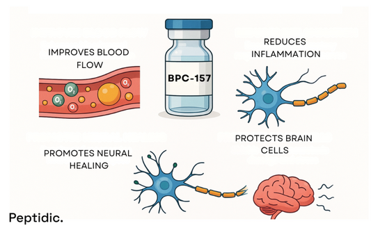 Diagram illustrating how BPC-157 promotes brain repair, reduces inflammation, and enhances overall healing.